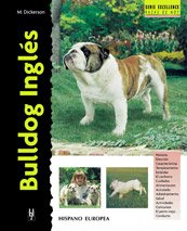Bulldog Inglés (Excellence)