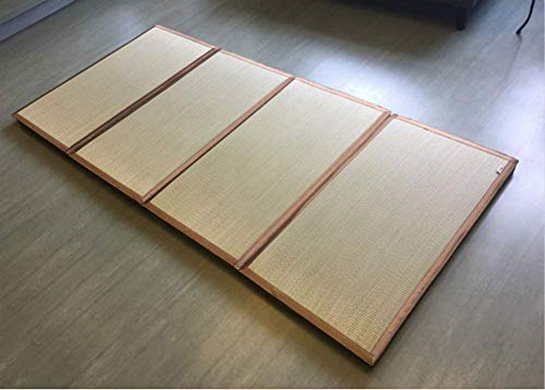 Colchones LQ Plegable Estilo japonés, casa compartida al Aire Libre portátil for Dormir la Siesta Espesar Piso Mat Color : B, Size : 90x200cm(35x79inch)