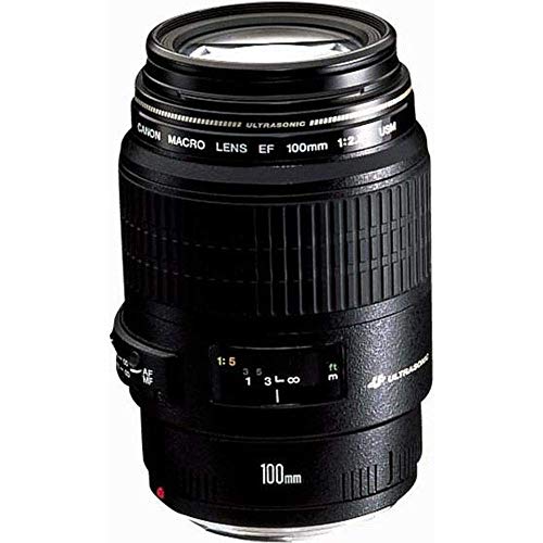 Canon EF 100mm f/2.8 Macro USM - Objetivo para Canon (Distancia Focal Fija 100mm, Apertura f/2.8-32, diámetro: 58mm) Negro