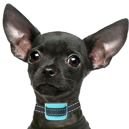 Petsol - Collar antiladridos para Perros pequeños, Color Azul, Entrenar a Perros pequeños y Cachorros, sin Golpes, con 6 Meses de garantía y baterías adicionales Incluidas