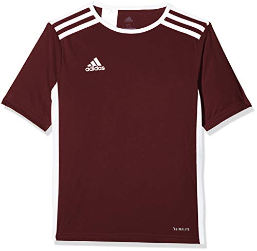 adidas Entrada 45 Camiseta de Fútbol para Hombre de Cuello Redondo en Contraste, Marrón (Maroon/White), L