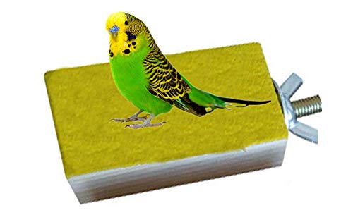 Keersi Plataforma de Madera para Jaula de pájaros, Percha para cotorros, periquitos, cacatúas y Otros pájaros de tamaño Similar