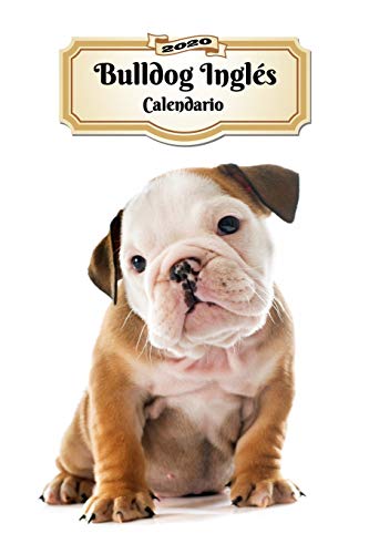 2020 Bulldog Inglés Calendario: 107 Páginas | Tamaño A5 | Planificador Semanal | 12 Meses | 1 Semana en 2 Páginas | Agenda Semana Vista | Tapa Blanda | Perro
