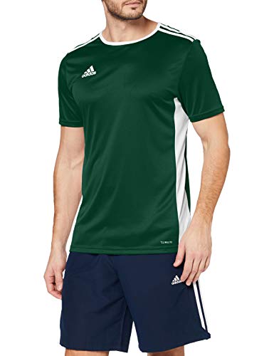 adidas Entrada 30 Camiseta de Fútbol para Hombre de Cuello Redondo en Contraste, Verde (Collegiate Green/White), XL