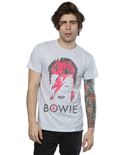 David Bowie hombre Aladdin Sane Distressed Camiseta Large cuero gris