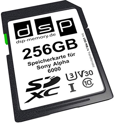 Tarjeta de Memoria Profesional V30 de 256 GB para cámara Digital Sony Alpha 6000