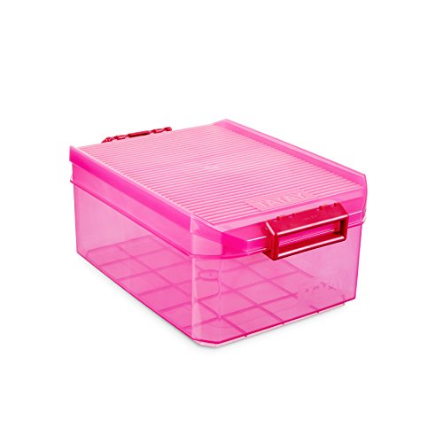 TATAY 1150212 - Caja de Almacenamiento Multiusos con Tapa, 4.5l de Capacidad, Plástico Polipropileno Libre de BPA, Rosa Fucsia, 19.20x29.70x12.40 cm