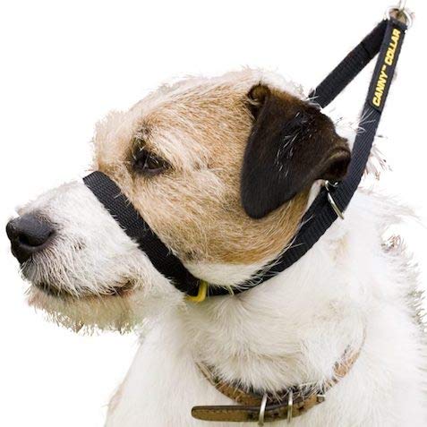 Canny Collar: Collar de Perro Entrenamiento y Collar Antitirones para Perros Grandes o Pequeños, ayuda simple y efectiva con el entrenamiento del perro y evita que los perros tiren de la correa (Negro)