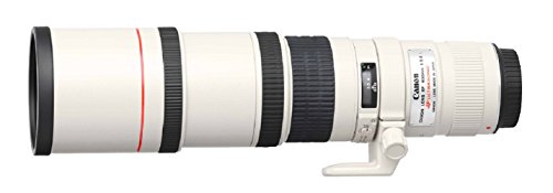 Canon EF 400 mm f/5.6L USM - Objetivo para Canon (diámetro: 77 mm), Blanco