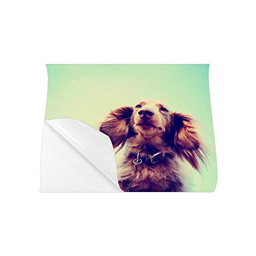Carteles de pared para niñas Un perro salchicha de pelo largo en miniatura con sus orejas Póster de pared Carteles de pared para niños 20x16 pulgadas Impresión de arte de pared Decoración de la sala