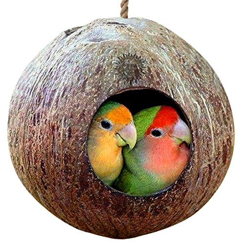 Casa de pájaros de Concha de Coco Natural - Casa de pájaros para Jaula o Exterior - Finch, Parakeet, alimentador ecológico de Sparrows - Textura Natural fomenta el Ejercicio de pie y Pico