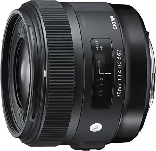 Sigma 30 mm/F 1,4 DC/HSM - Objetivo para Canon (Distancia Focal Fija 45mm, Apertura f/1,4-16), Negro