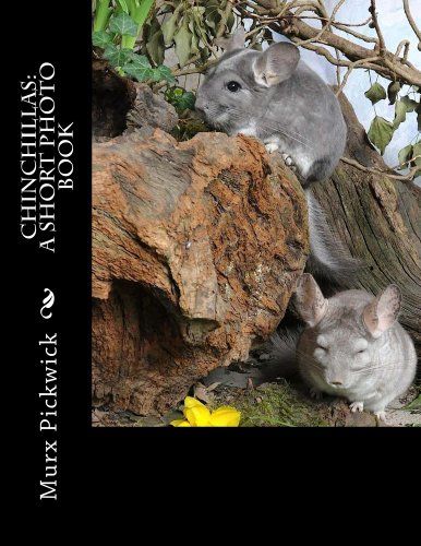 Chinchillas: A Short Photo Book (English Edition)