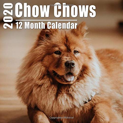 Chow Chows Small Calendar 2020: Cute Chow Chow Photos Mini Monthly Calendar With Inspiritional Quotes each Month | Small Size 8.5x8.5 inches