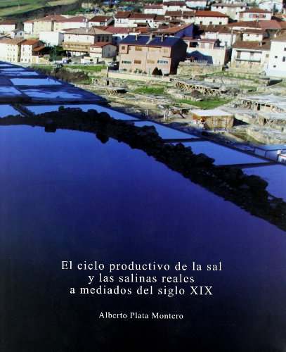 Ciclo Productivo De La Sal Y Las Salinas Reales A Mediados Del S.Xix