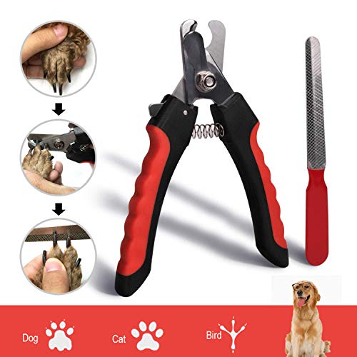 DAOXU Tijeras profesional - Alicate cortauñas para perro y gato Lima de Uñas - para Cuidado de las uñas de las pequeñas, medianas y grandes perros, gatos, conejos, pájaros (Rojo)