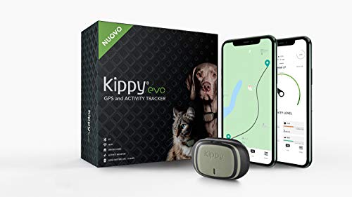 Kippy - Kippy EVO - El Nuevo Collar GPS para Perros y Gatos - Seguimiento de Actividad, 38 gr, Waterproof, Bateria 10 dias, Green Forest