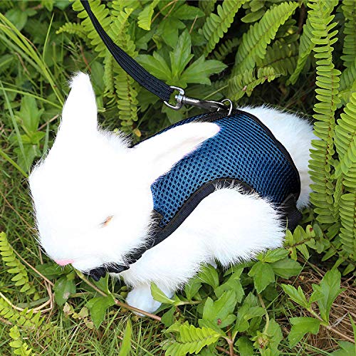 Petcomer Arnés Conejos con Correa Elástica para Animales Pequeños Conejos Hámsteres Gatos(S, Azul)