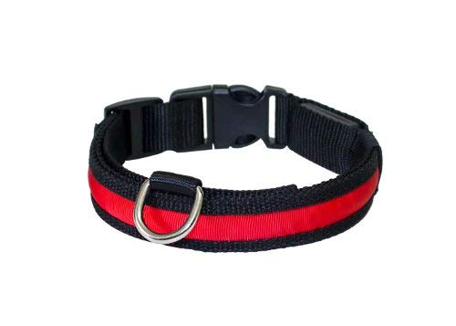 PRECORN Collar para perros luminoso"Zandoo" Collar LED en el color rojo. Tamaño M (40-50 cm)
