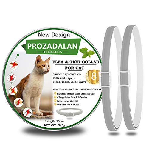 PROZADALAN Collar Antiparasitario para Gatos,Los aceites Esenciales Naturales Duran 8 Meses para el Tratamiento de pulgas, 35 cm de tamaño Ajustable e Impermeable (2pack)