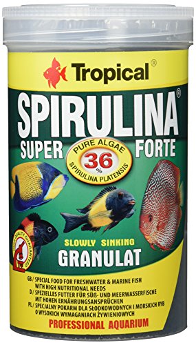 Tropical Super spiru Lina Forte granulado Forro con 36% spiru Lina (plat Ensis Porcentaje), 1er Pack (1 x 1 l)