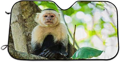 Dem Boswell Cubierta del Parabrisas del Coche Marco de Mono Capuchino Blanco Persianas de Ventana Delantera universales para Hielo Nieve Frost Sun