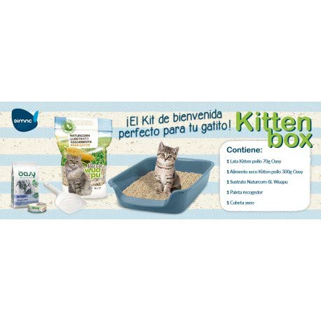 Dimac Set para Gatos - Arenero +Sustrato + Alimento seco + Alimento húmedo