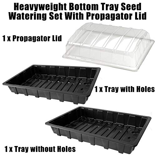 Easy Grow Seeds - Juego de tapa para semillas, 100% reciclado, plástico pesado, para regar la parte inferior, bandejas de semillas eficaces