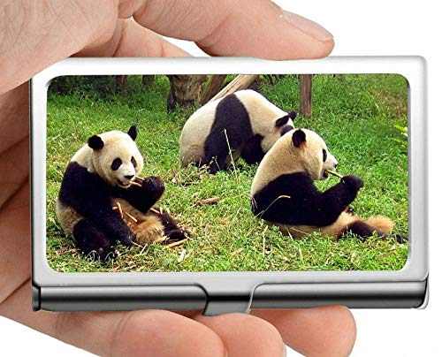 Estuche para tarjetas con nombre comercial, caja de tarjeta de visita con soporte para tarjeta de visita de panda gigante blando (acero inoxidable)