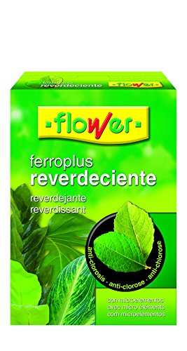 Flower 15503 - Ferro-Plus reverdeciente, 1 Kg