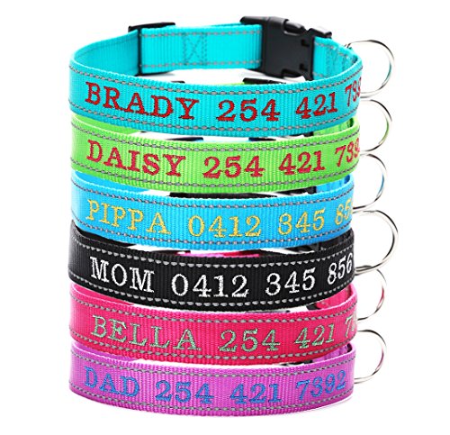 Moonpet Collar de Perro Personalizado - Collar de Perro con Nombre de Perro y número de teléfono-Reflexivo Ajustable Adecuado para Perros machos y Hembras pequeños, medianos y Grandes