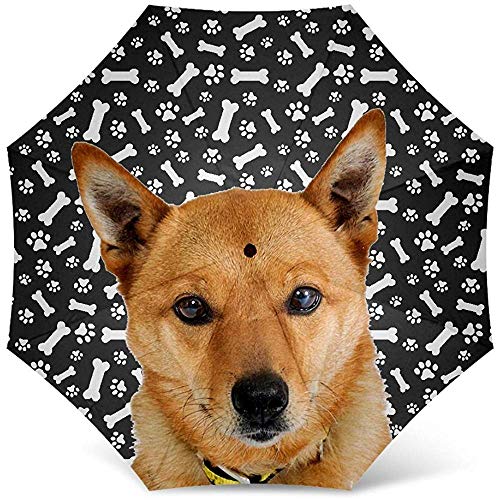 Paraguas de Patas de Perro de diseño con Estampado de patrón de Perro Dingo - Paraguas Plegable de Viaje a Prueba de Viento Paraguas de Golf - Grandes Regalos de mamá Perro