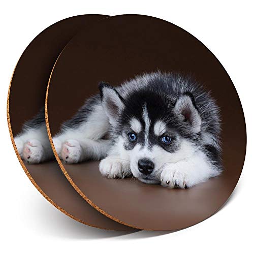 Posavasos redondos de vinilo de Destination Ltd (juego de 2) – Siberian Husky Cachorro Ojos Azules Perro Bebida Brillante Posavasos de Mesa para cualquier tipo de mesa #46297