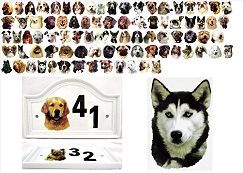 Rainbow Decors Ltd Husky Siberiano casa Puerta Número Placa de cerámica Placa de número de Perro Cualquier número Disponible Decorada a Mano en el Reino Unido Entrega Gratuita Reino Unido