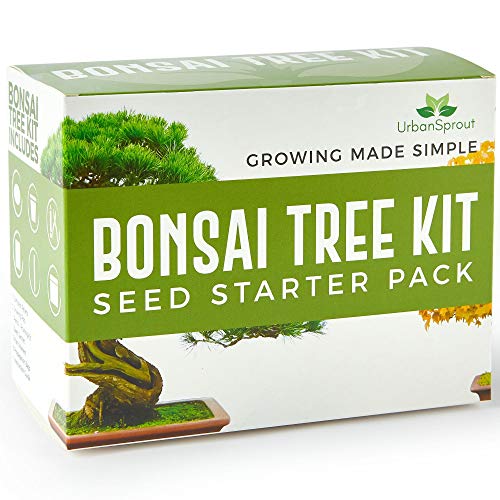 Urban Sprout Kit de Bonsai – Cultive Sus Propios Bonsáis con Semillas para Cultivo de Interior - Incluye 5 variedades – Kit Base para germinación con Herramientas de Jardin - Instrucciones en Español