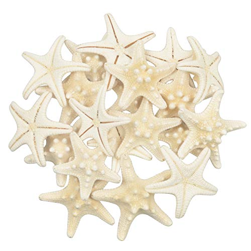 Yixuan 20PCS Estrellas de mar Estrella de mar Natural Estrella de mar Decoracion Molde Estrella mar decoración de Bodas/Fiesta temática en la Playa/Decoraciones para el hogar/Bricolaje