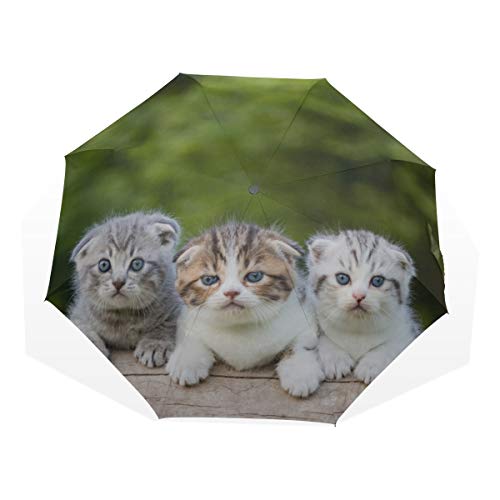 Paraguas de Viaje Grupo de pequeños Gatitos con Rayas Gatos en una Cesta Antivibrante Compacto 3 Fold Art Ligero Paraguas Plegables (impresión Exterior) Lluvia a Prueba de Viento Paraguas de Protecci