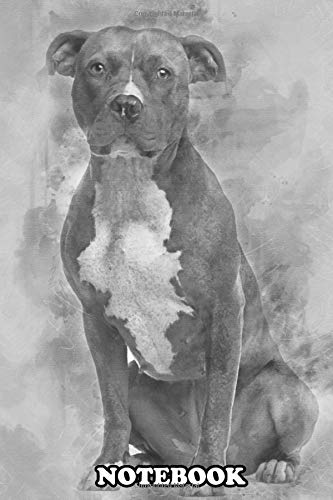 Notebook: American Staffordshire Terrier Sitting And Looking At C , Journal for Writing, College Ruled Size 6" x 9", 110 Pages