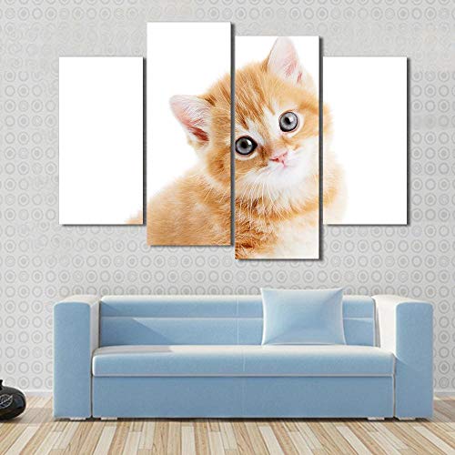 WEDSA Canvas Painting Mural Poster Decoration Wall Art 4 Piezas/Set Canvas Art British Shorthair Kitten Cat Isolated HD Canvas Painting Home Decoration Wall Art Prints 30x60cmx2 30x80cmx2 Sin Marco
