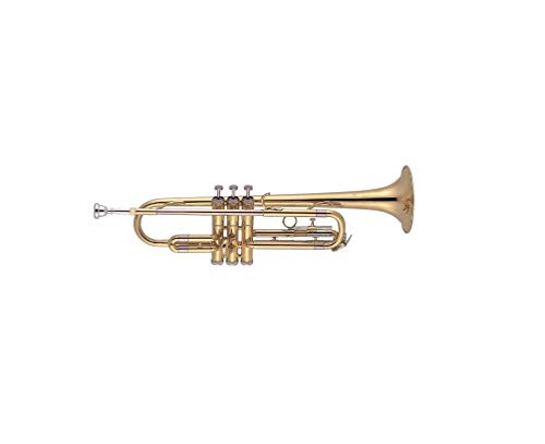 J. Michael TR200 - Trompeta en SI bemol, lacada