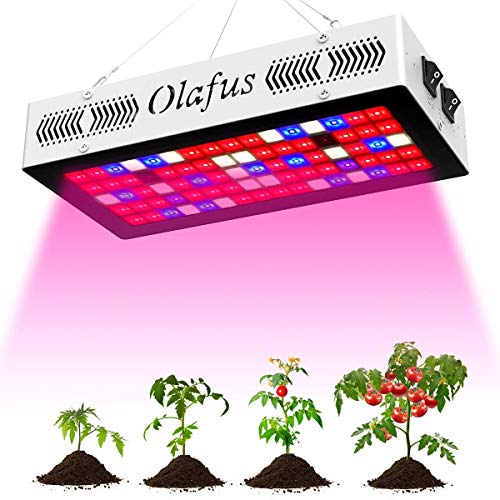 Olafus 300W Grow Light Luz Plantas, 80 LEDs 3 Modos de Iluminación Grow Lamp Espectro Completo para Plantas de Interior, Bombilla LED para Cultivo Conseguir Crecimiento y floración