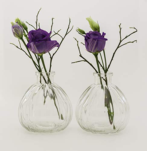 Casa-vetro - Juego de 6 jarrones pequeños de cristal (6 unidades), diseño de flores