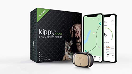 Kippy - Kippy EVO - El Nuevo Collar GPS para Perros y Gatos - Seguimiento de Actividad, 38 gr, Waterproof, Bateria 10 dias, Brown Wood