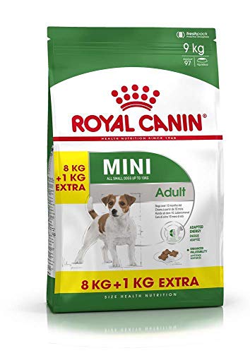 Comida para Perros Royal Canin Mini Adult, 8 + 1 kg Gratis, 1 Unidad (1 x 9 kg)