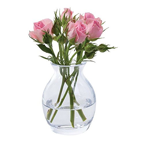 Dartington - Jarrón de Cristal para Flores, Transparente