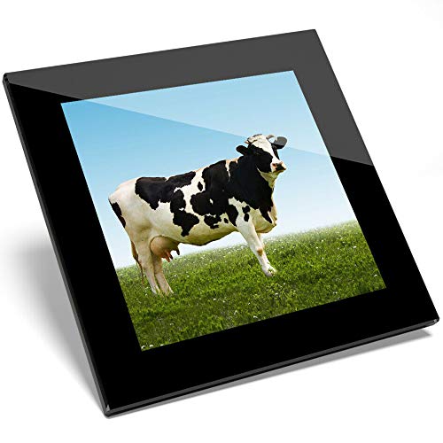 1 posavasos de cristal Holstein Frisian Cow Farm – regalo para estudiantes de cocina #13030