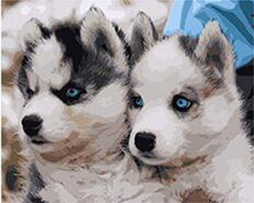 Pedigree Husky Siberiano Cachorros Pintura Diy By Números Animal Pintado A Mano Lienzo Pintura Al Óleo Digital Decoración Para El Hogar 40x50cm