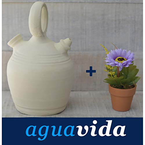 Hogar y Mas Set Planta y Botijo Dispensador de Agua H2O 2 litros Aprox. Artesanal Hecho en España 100%