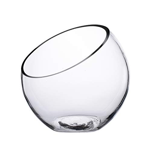 KnikGlass - Cuenco de cristal con forma de burbuja, para pecera y terrario de plantas, diseño de globo terrario