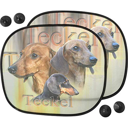 Pets-easy - Parasol para perro, coche de Teckel Pelo Ras
